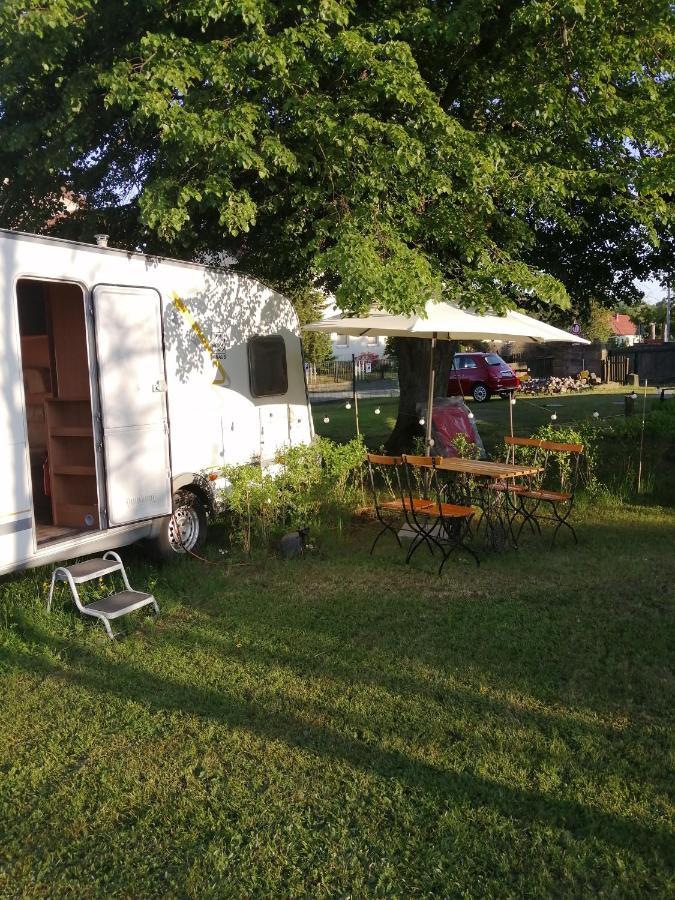 "Campingplatz Altjessen 57" Pirna Exteriör bild